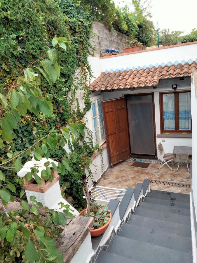 Casa Rustica Apartment Dorgali Ngoại thất bức ảnh